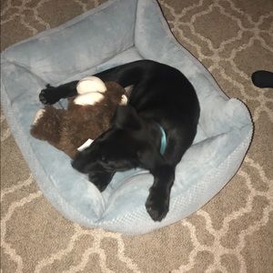 Meet your Posher, Monique